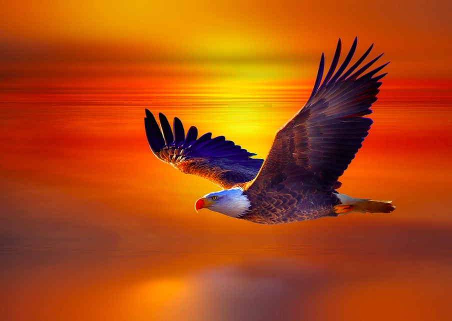 Unique Fine art Photography