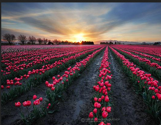 Landscape Photography: The Best Way to Explore Nature (21)