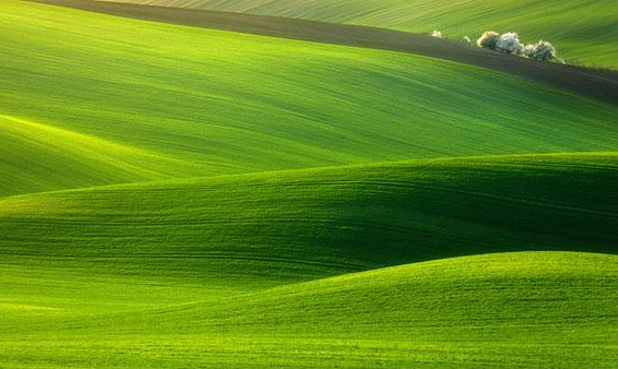 Landscape Photography: The Best Way to Explore Nature (19)