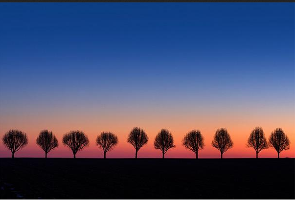 Landscape Photography: The Best Way to Explore Nature (17)