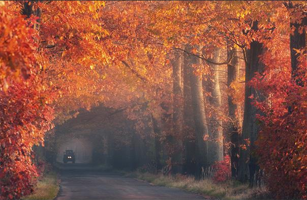 Landscape Photography: The Best Way to Explore Nature (16)