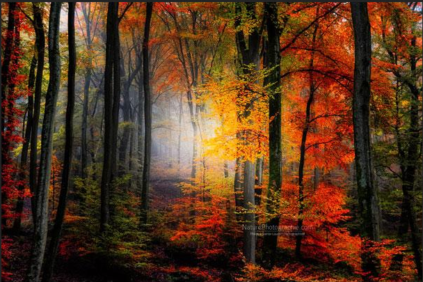 Landscape Photography: The Best Way to Explore Nature (15)