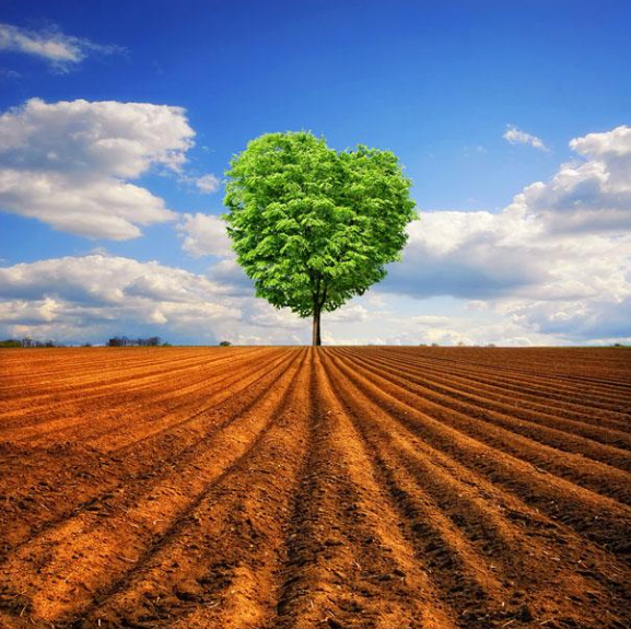 Landscape Photography: The Best Way to Explore Nature (14)