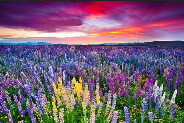 Landscape Photography: The Best Way to Explore Nature (13)