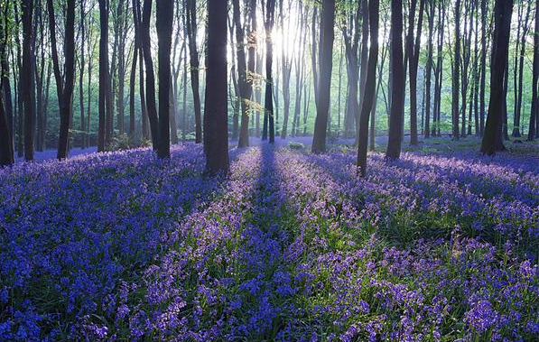 Landscape Photography: The Best Way to Explore Nature (11)