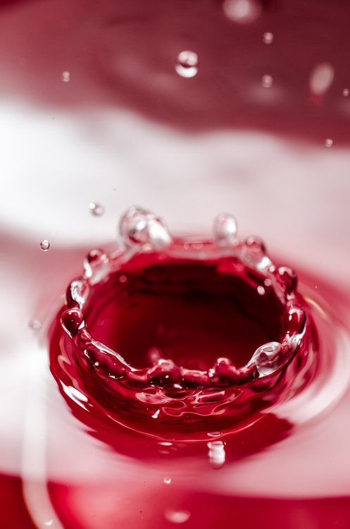 Some Magnificent Collection of Macro Photography (15)