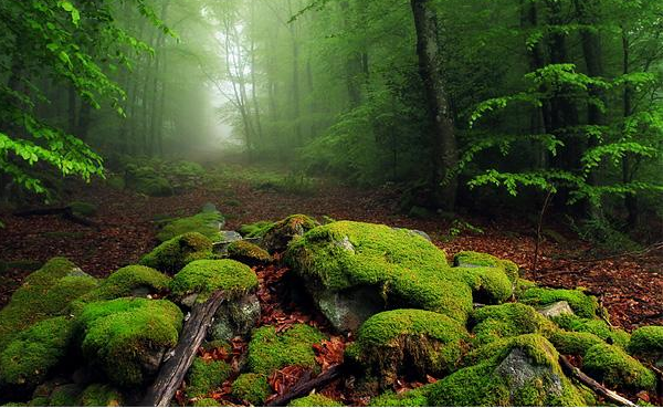 Landscape Photography: The Best Way to Explore Nature (8)