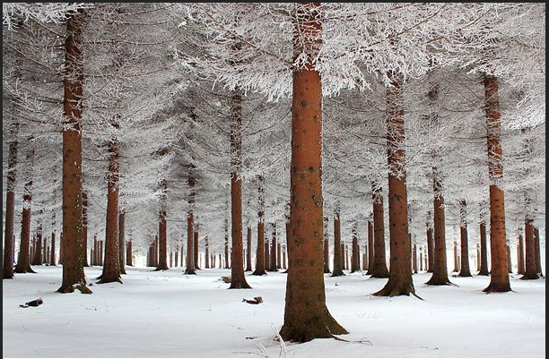 Landscape Photography: The Best Way to Explore Nature (7)