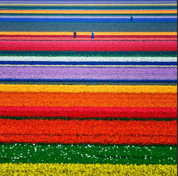 Landscape Photography: The Best Way to Explore Nature (6)