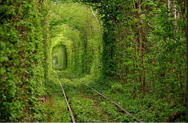 Landscape Photography: The Best Way to Explore Nature (5)