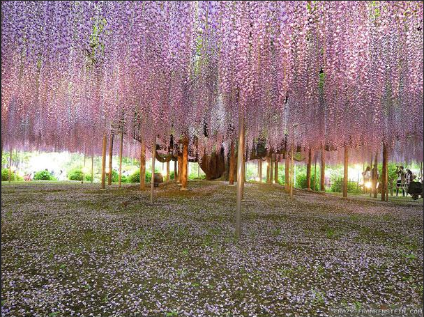 Landscape Photography: The Best Way to Explore Nature (4)