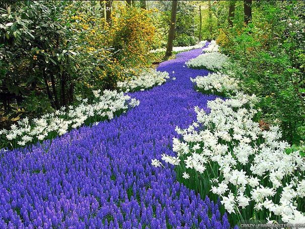 Landscape Photography: The Best Way to Explore Nature (3)