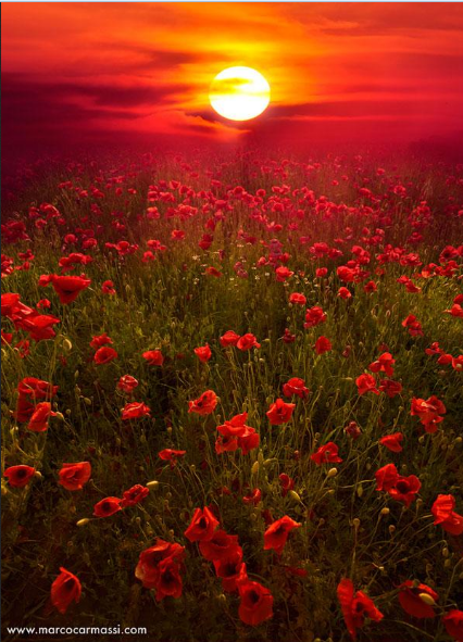 Landscape Photography: The Best Way to Explore Nature (28)