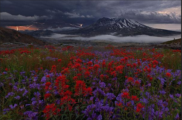 Landscape Photography: The Best Way to Explore Nature (27)