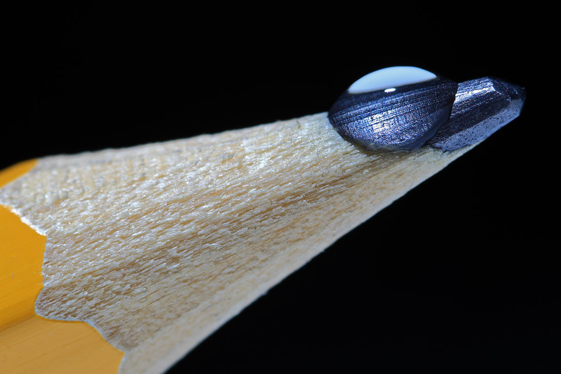 Some Magnificent Collection of Macro Photography (33)