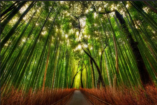 Landscape Photography: The Best Way to Explore Nature (26)