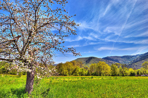 Marvelous Examples of HDR Photography (26)
