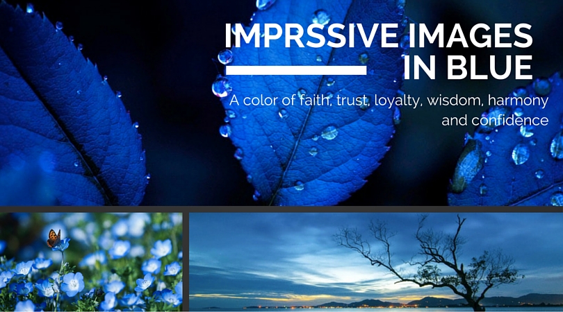 images in blue