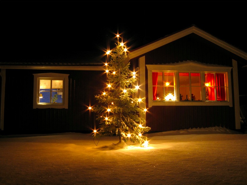 A Wonderful outdoor Christmas tree