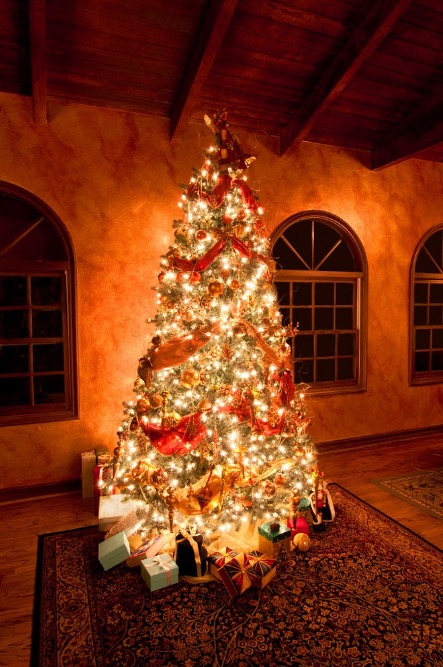 A beautiful Christmas tree decorated for the holidays