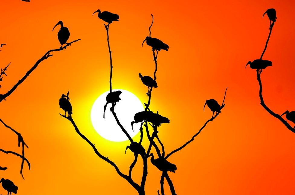 Amazing capture