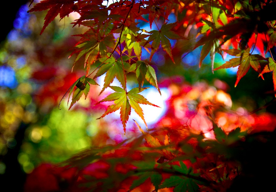 Beautiful Colors