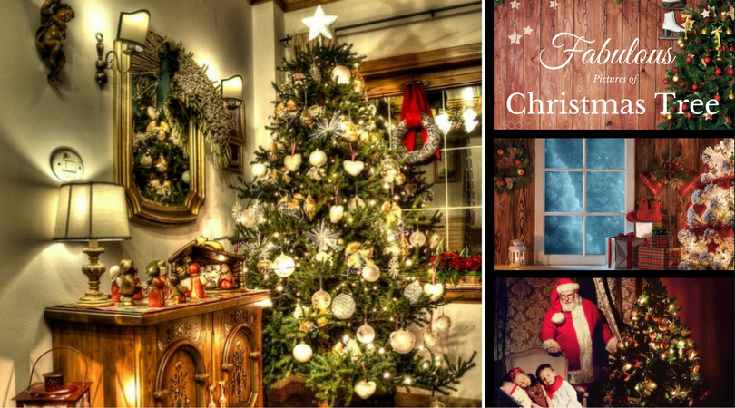 Pictures of Christmas Tree