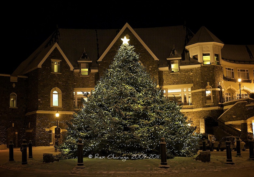 Pretty Christmas tree