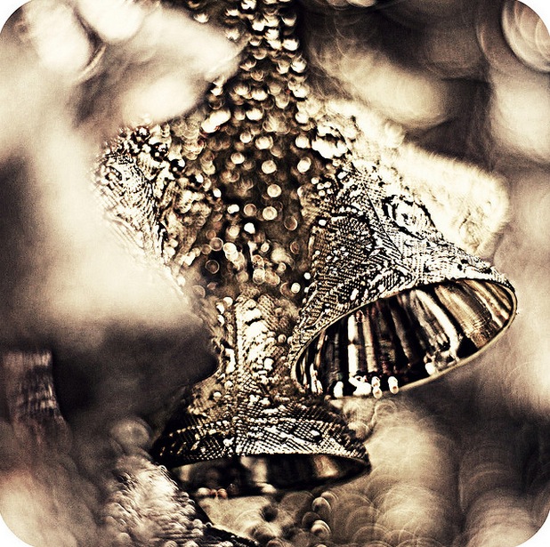 christmas bells for you