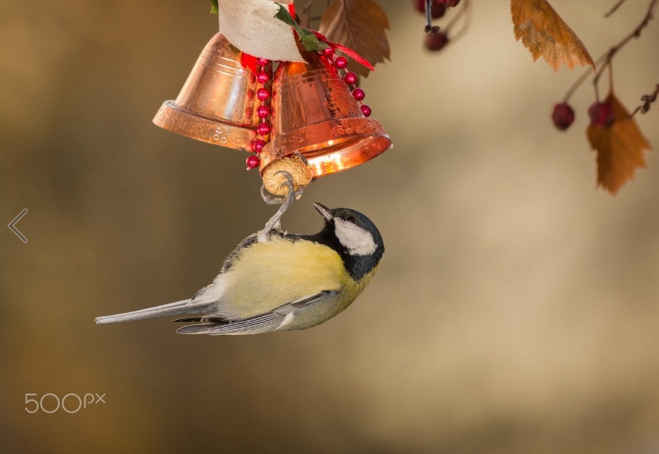 whistleblower of santa