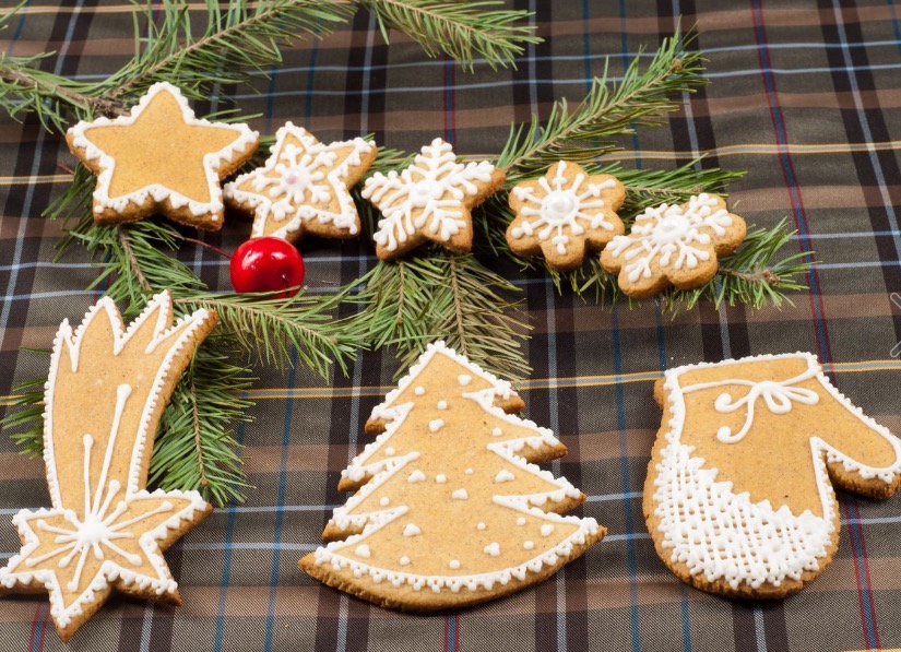 christmas-cookies-cloth-in-the-box-texture