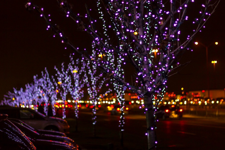 Infinit Christmas trees