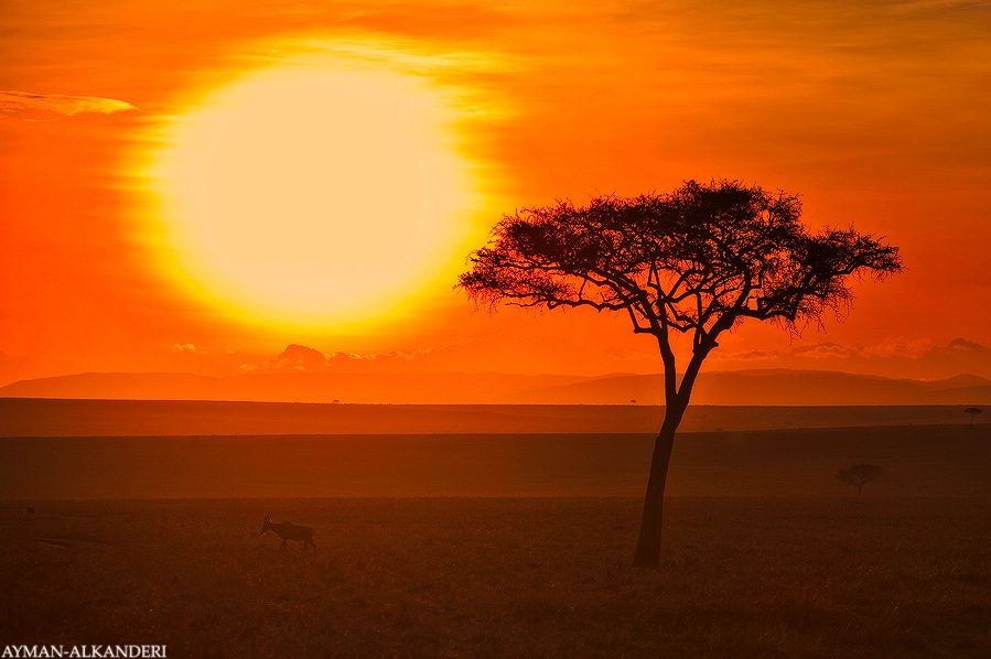 Kenya