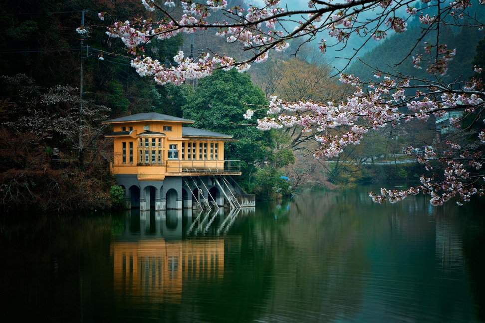 Lakeside with blossoms