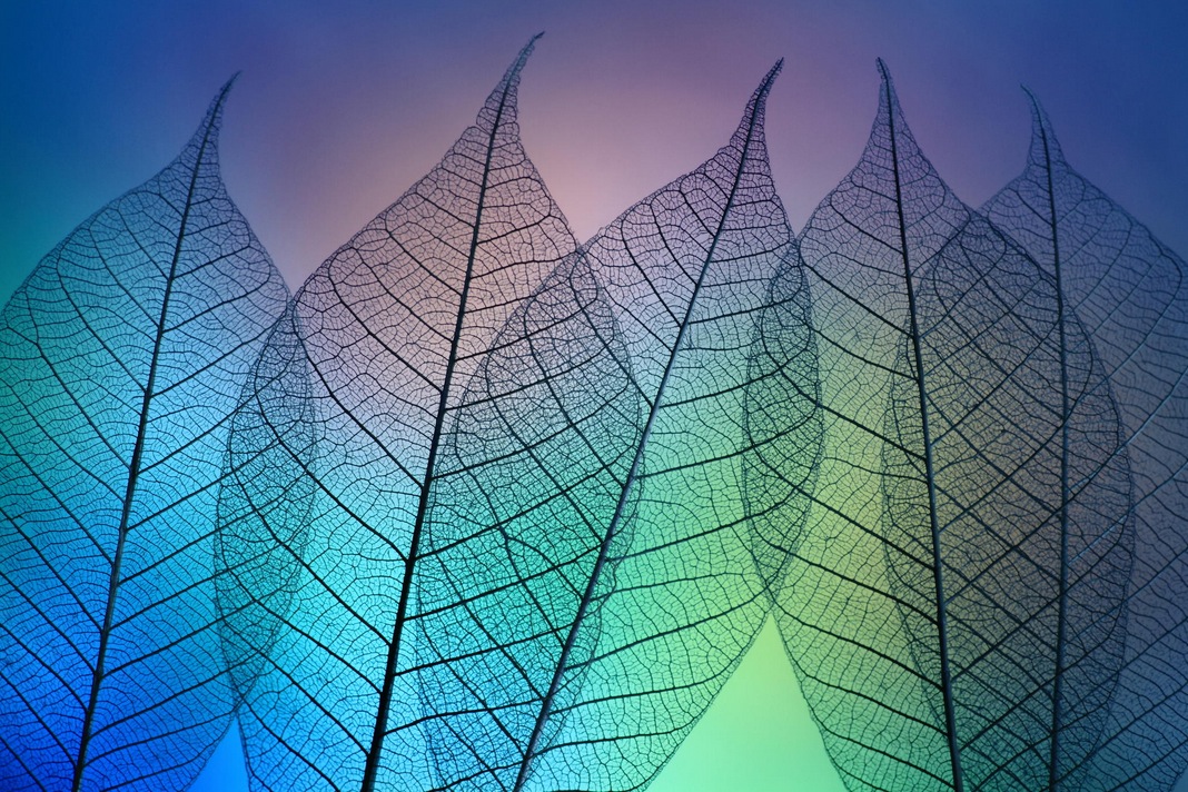 Prismatic leafs