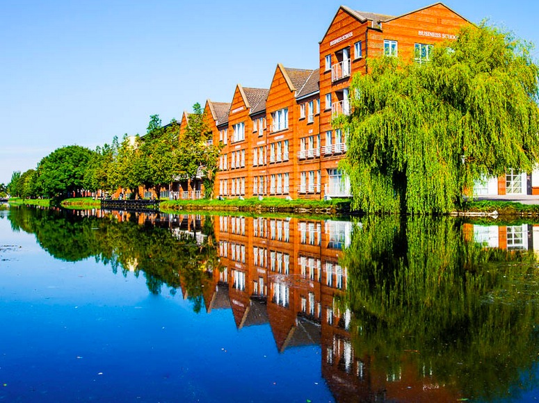 Reflections on a sunny day