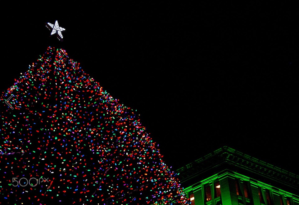 the-tree