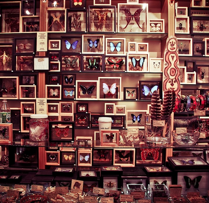 Vintage Nature