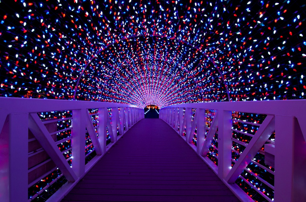 Warp Speed Ahead