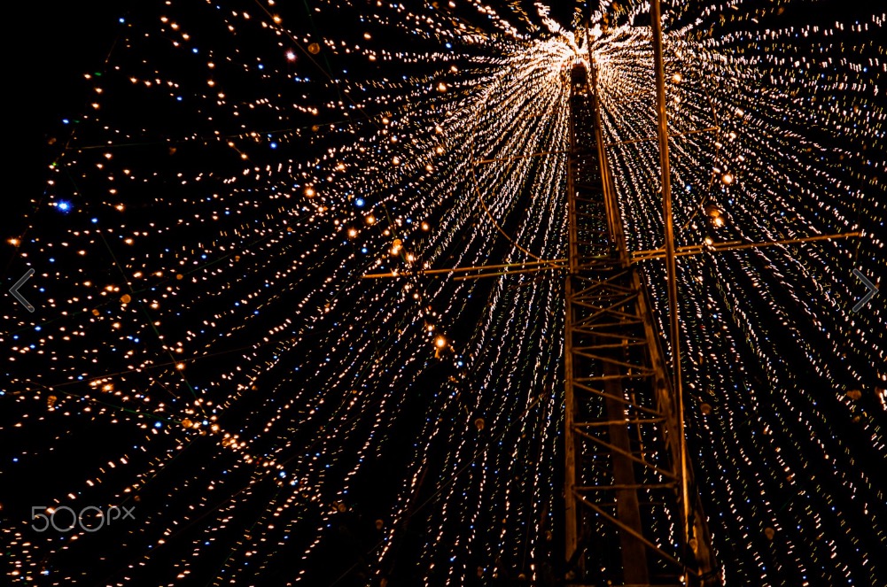 under-the-christmas-tree-in-city