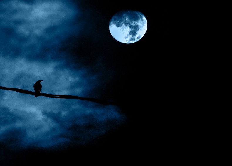 Full moon night