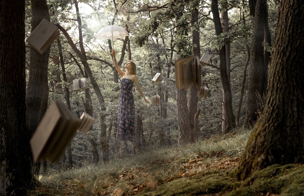 forest-magic