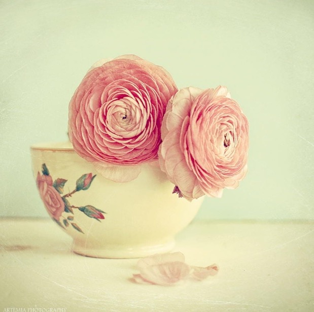 ranunculus