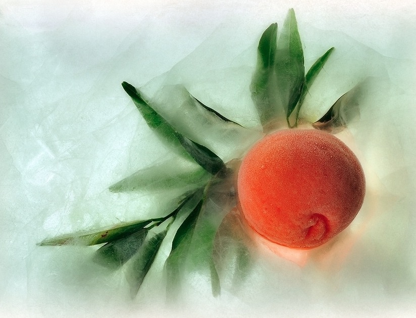 tangerine