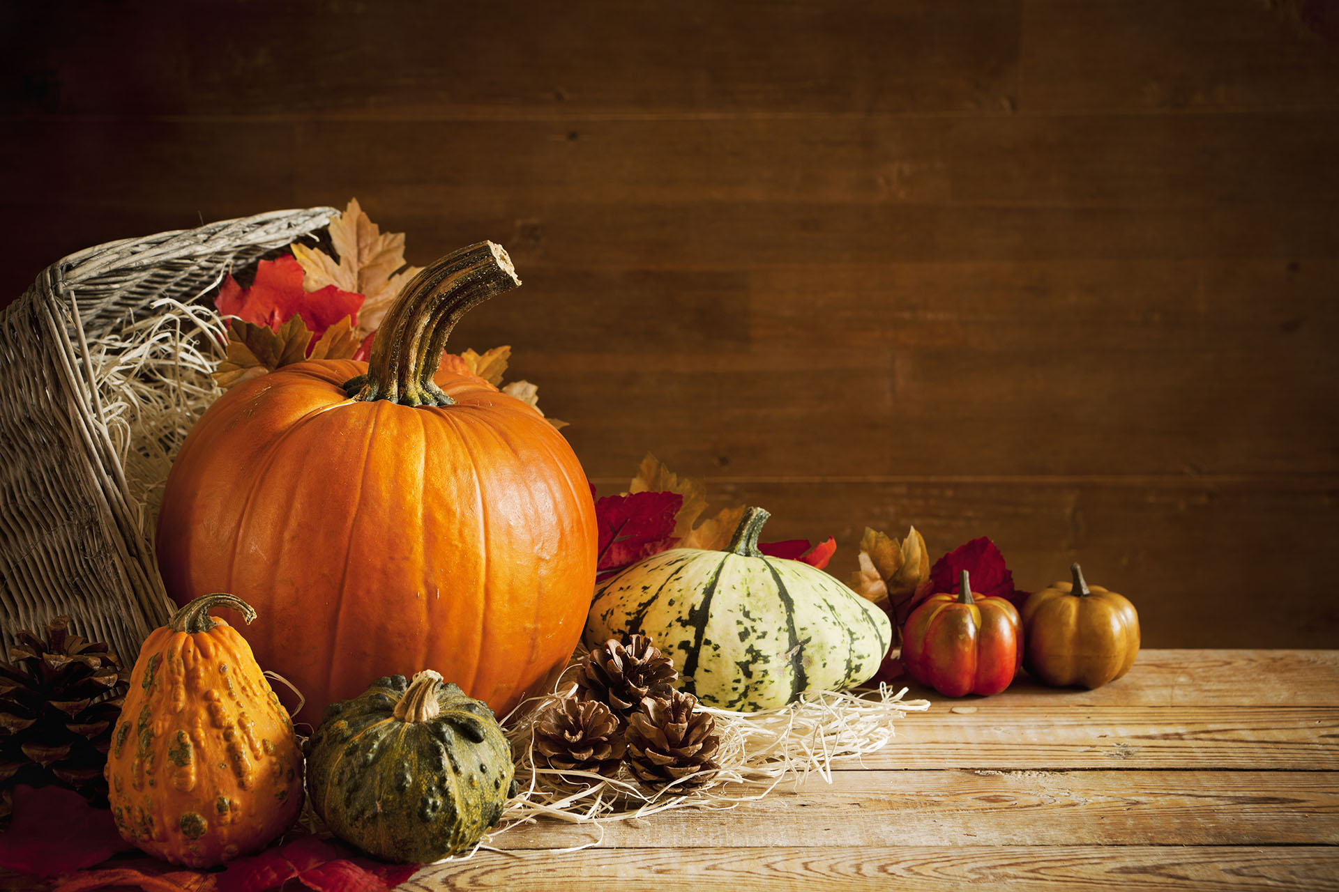 A rustic autumn still life with pumpkins and a basket on a wooden table