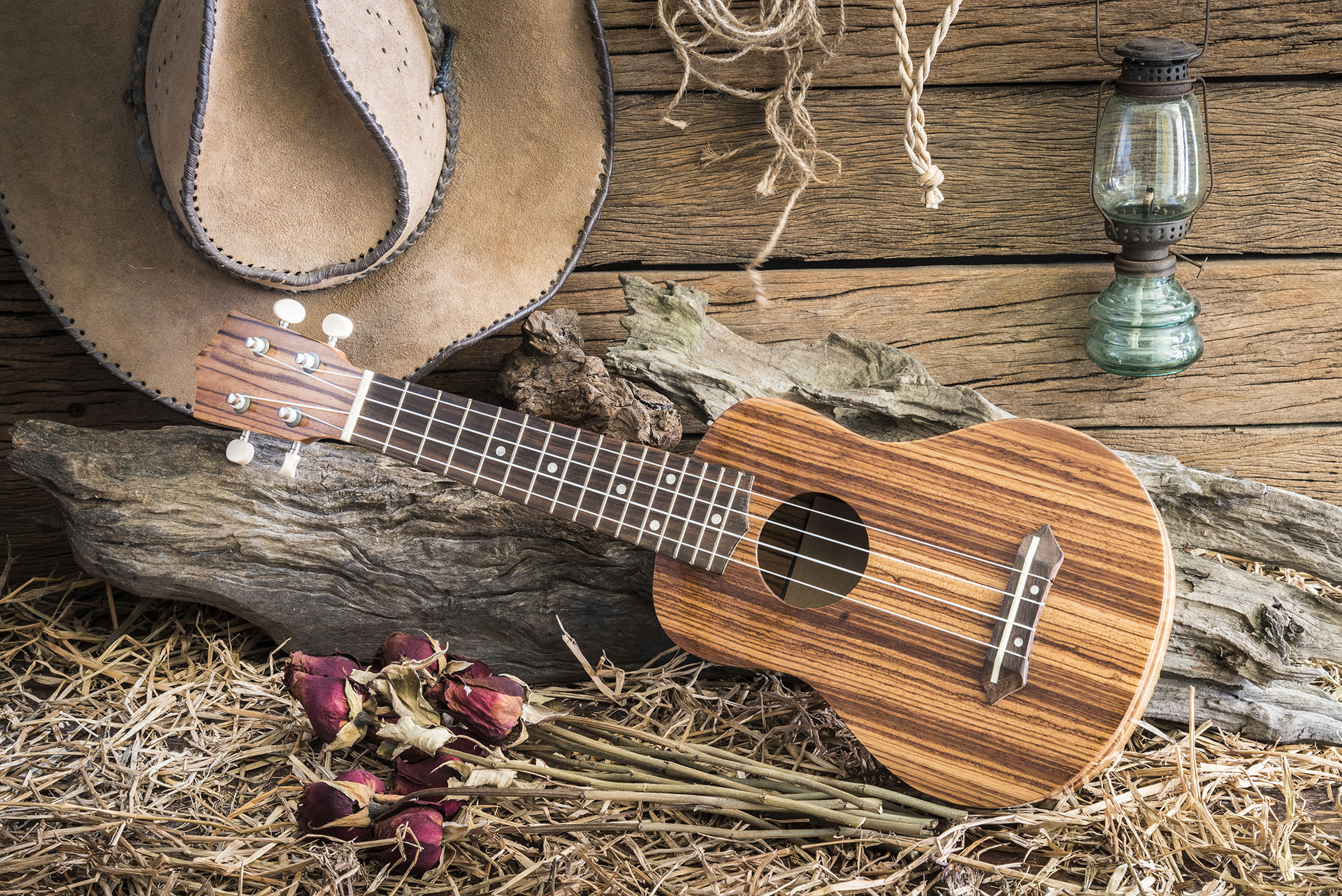 Still life photography with ukulele and dry roses with american west rodeo brown felt cowboy hat in vintage ranch barn background