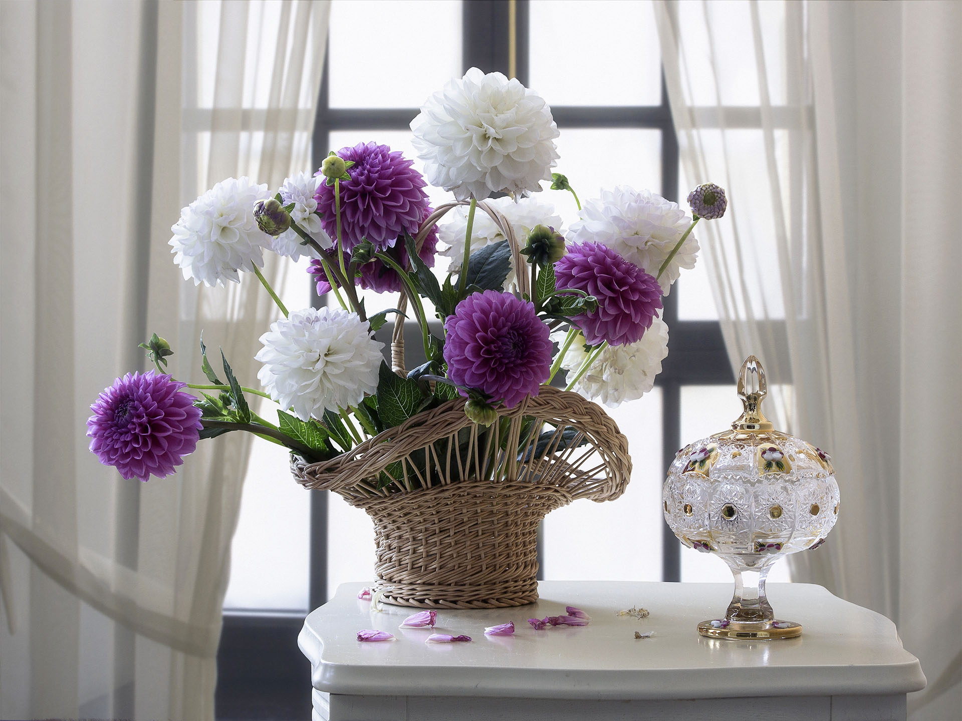 Still life with bouquet of dahlias