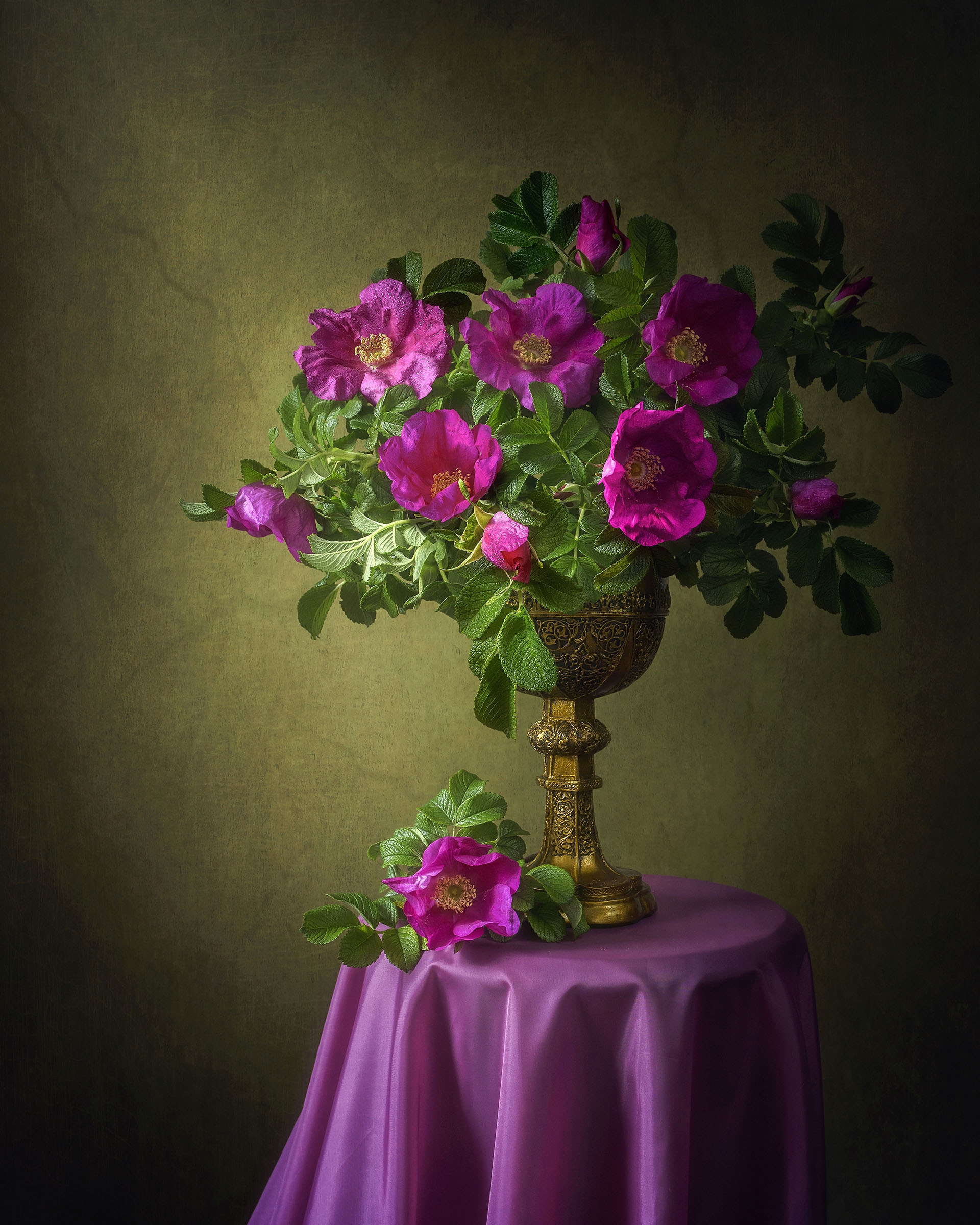 Still life with wild rose