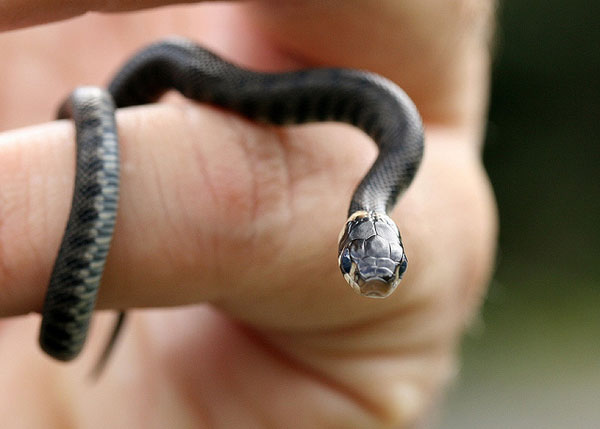 Trusssst in meeeeee…