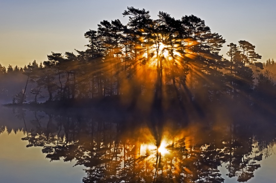 Heal Me by Sunrise V
